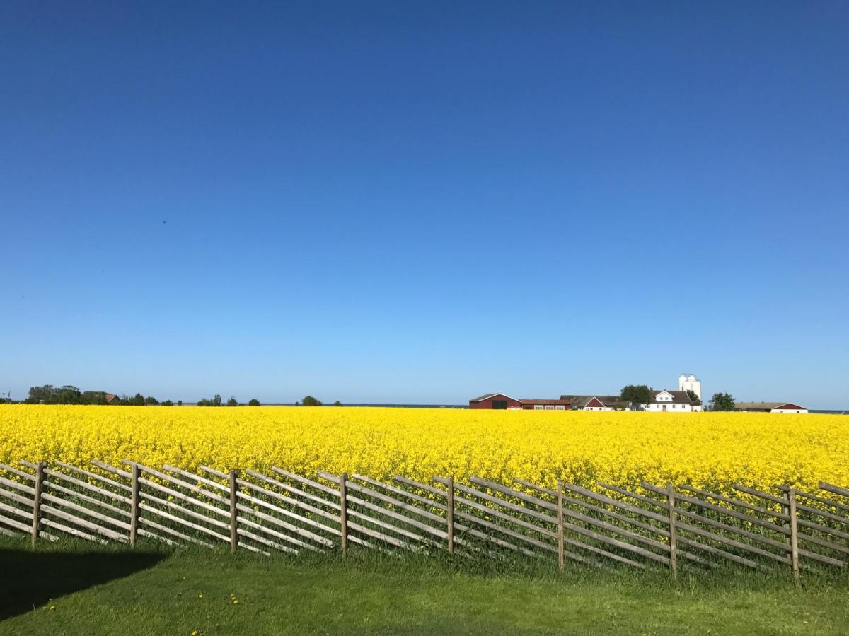 Havsnaera Lantligt Boende Glommen Buitenkant foto